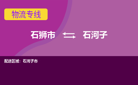 石狮市到石河子物流公司-石狮市到石河子专线