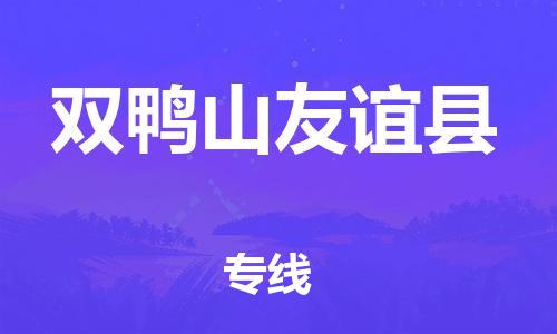 晋江市发货到双鸭山友谊县物流专线-晋江市直发到双鸭山友谊县运输公司